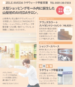 ラザウォーク甲斐双葉店