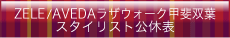 �X�^�C���X�g���x�\