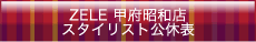 �X�^�C���X�g���x�\