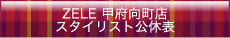 �X�^�C���X�g���x�\