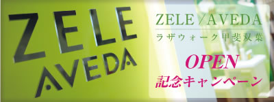 ZELE / AVEDA�I�[�v���L�O�L�����y�[��